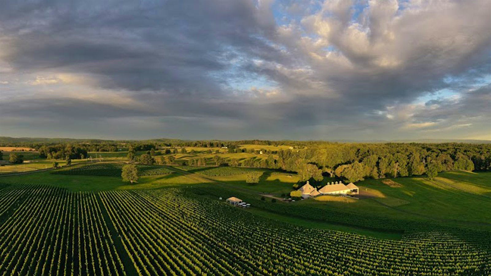 Boxwood Winery