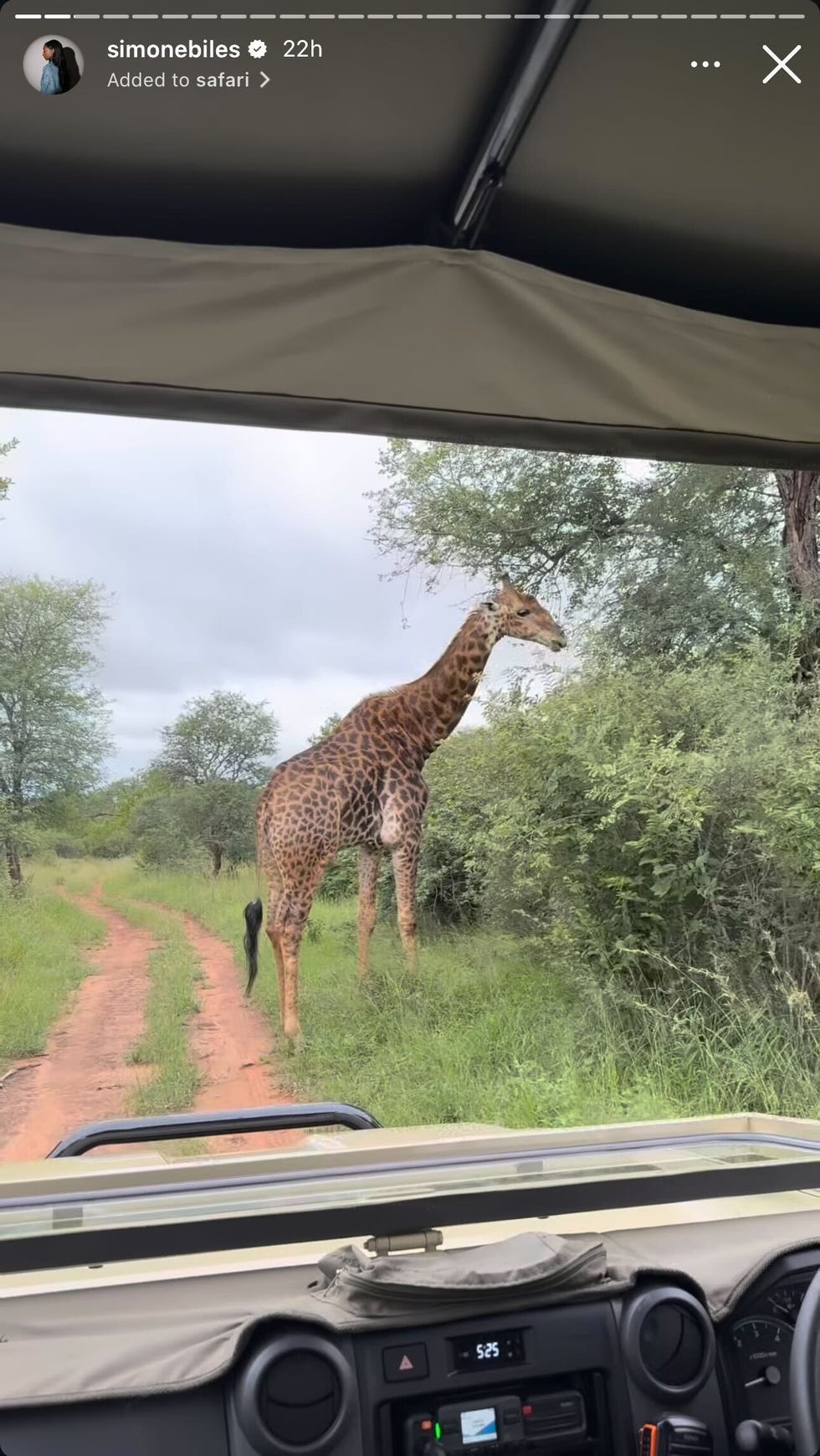 simone biles and jonathan owens honeymoon in south africa