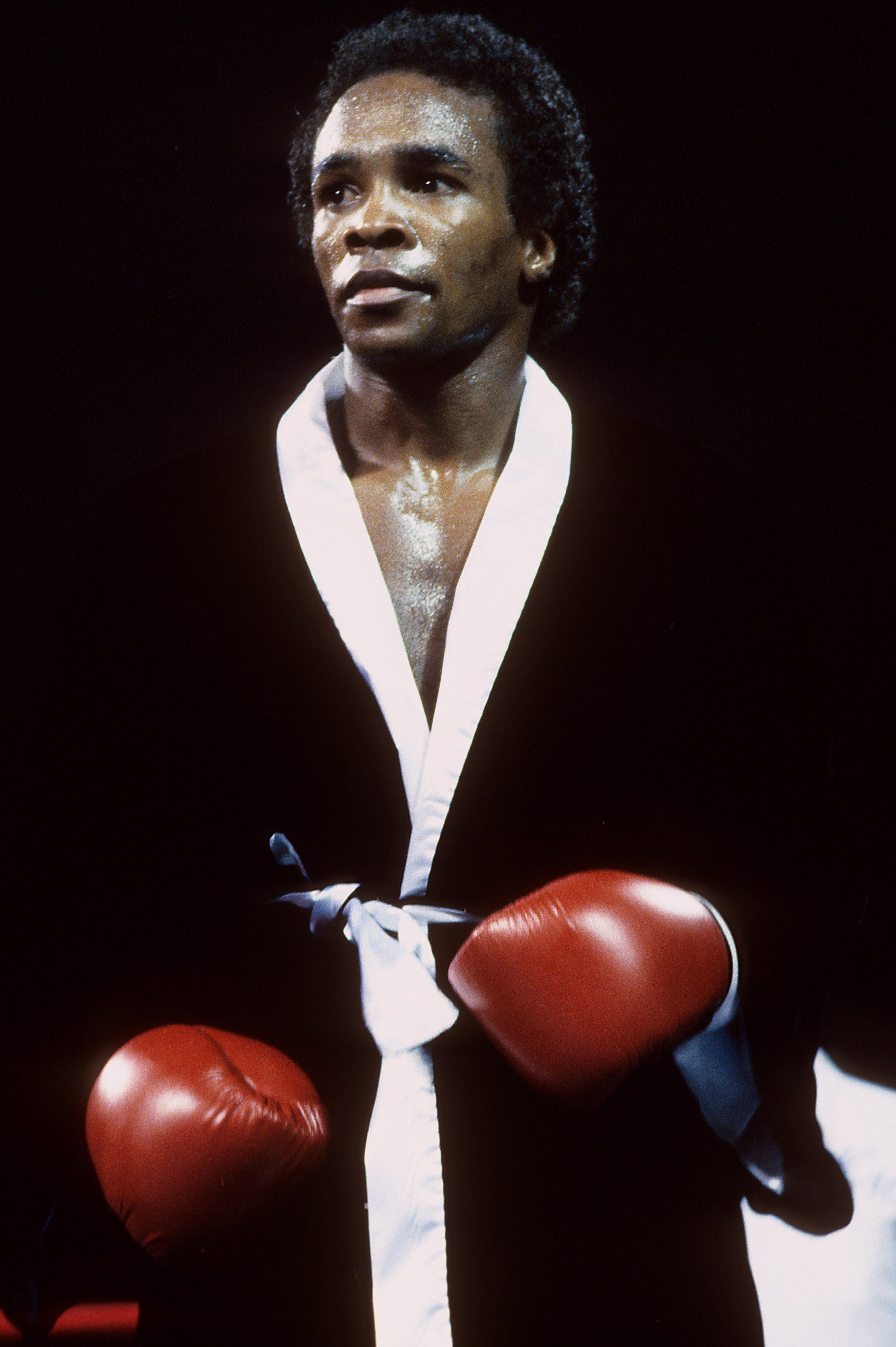 sugar ray leonard v kevin howard